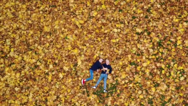 Повітряний Глядач Щасливі Діти Лежать Осінньому Опалому Листі Парку Діти — стокове відео