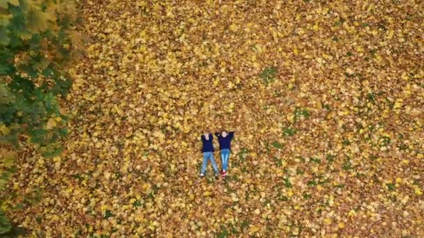 Воздушный Виев Счастливые Дети Лежащие Осенью Опавших Листьях Парке Дети — стоковое видео