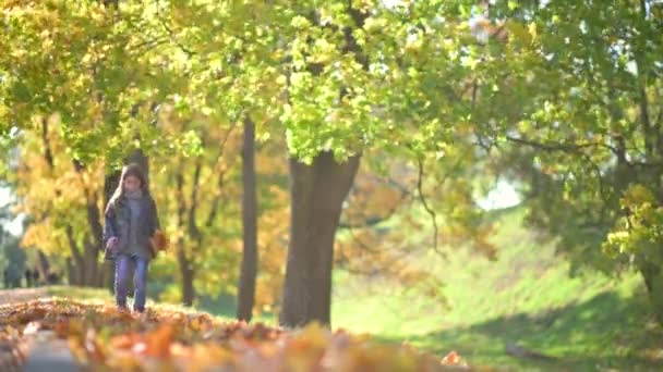 Glad Tjej Coat Walks Solig Höstpark Barnet Håller Fallen Yellow — Stockvideo