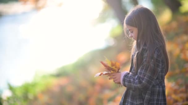 Happy Girl Coat Walks Sunny Autumn Park Niño Recoge Ramo — Vídeo de stock