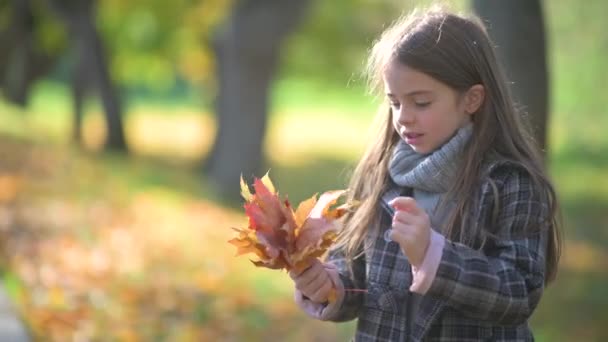 Happy Girl Coat Spaceruje Parku Słonecznej Jesieni Dziecko Zbiera Bukiet — Wideo stockowe