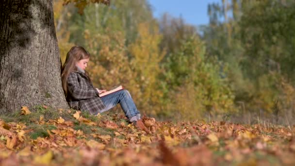 Dziewczyna Ciepłym Płaszczu Czyta Książkę Siedząc Pod Dużym Jesiennym Drzewem — Wideo stockowe