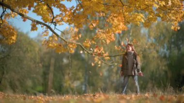 Autumn Park 'ta Paltolu Mutlu Kız Eğleniyor. Çocuk Düşmüş Yaprak Yavaş Hareketi 'ni atar ve çalar. Çocuklar açık havada eğleniyor. çocukluk kavramı.