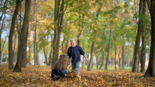 어린이들은 공원에서 소년과 슬로우 어린이들은 옥외에서 재미를 시절의 — 비디오