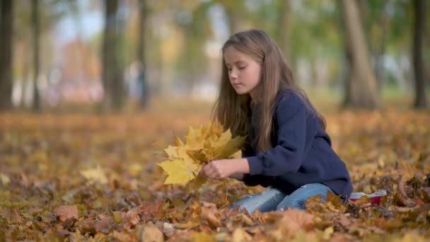 Happy Girl Coat Walks Sunny Autumn Park Criança Segura Folhas — Vídeo de Stock