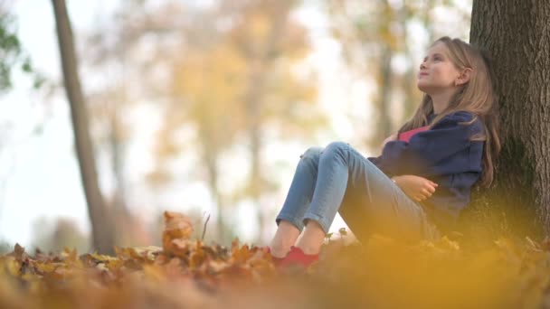 可爱的女孩阅读一本书 梦想坐在一棵大树下 一个孩子在阳光明媚的秋天公园里读书 — 图库视频影像