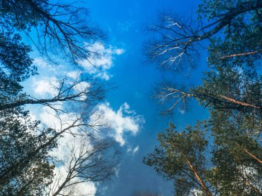 Gökyüzü duvar kağıdındaki bulutlar
