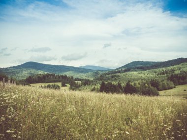 Dağlarda glade görünümü