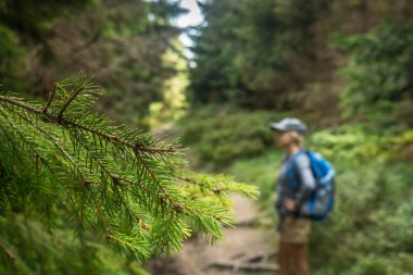 Turist bir iz arıyor.