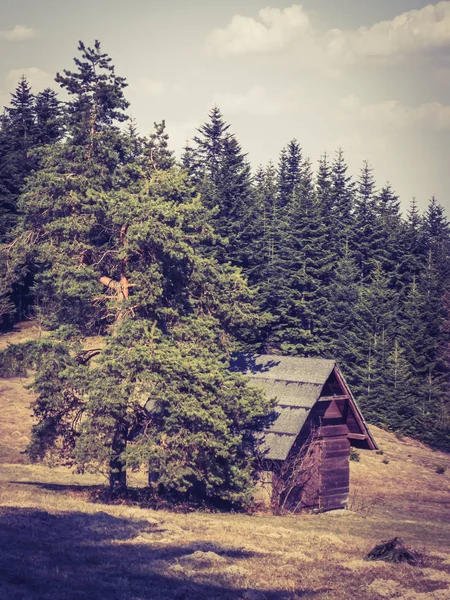 A wooden house under a tree