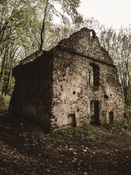 Ruinen Eines Alten Steinhauses Wald — Stockfoto