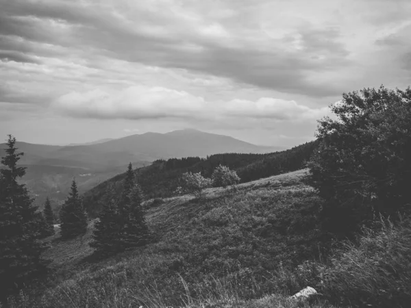 Black and white view of the mountains