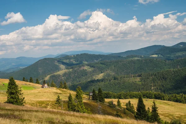 Autumn mountain hiking in summer