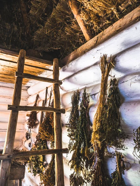 Herbs drying in an old house
