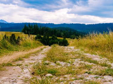 Sonbaharda tarlalar arasında toprak yol