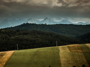 Dağlarda çit üstüne çit