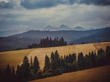 Yazın dağ manzarası