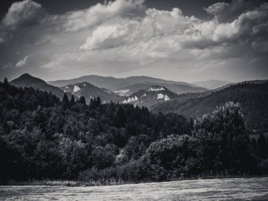 Yazın dağ manzarası