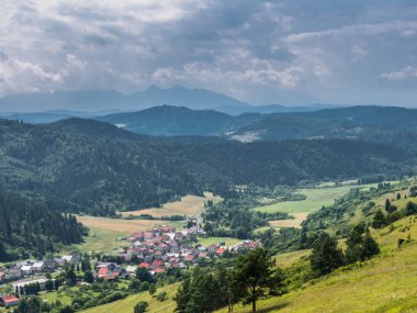 Yazın dağ manzarası