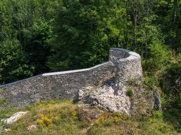 Mauer Einer Alten Burg Mit Einem Winken Bäumen — Stockfoto