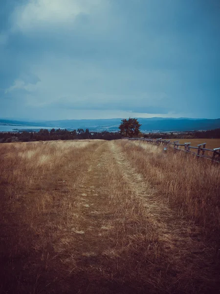 Cerca Pasto Nas Montanhas — Fotografia de Stock