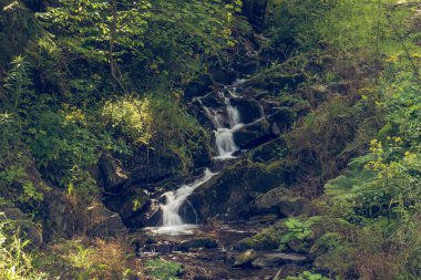 Dağlarda akan küçük bir nehir.