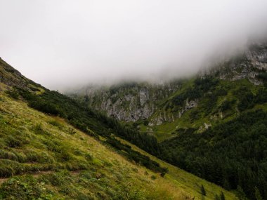 Dağlardaki vadi sisle kaplı.