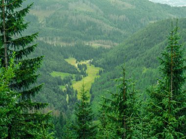 Dağ vadisi kuş bakışı görünüyor.