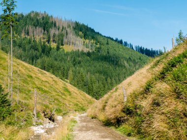 Tatra dağlarındaki dağların renkli yamaçları