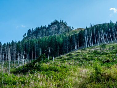Dağın zirvesi dramatik manzarada