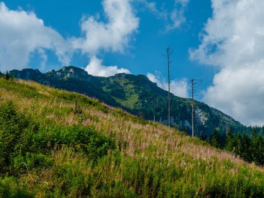 Yaz aylarında dağların peyzaj