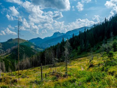 Yaz aylarında dağların peyzaj