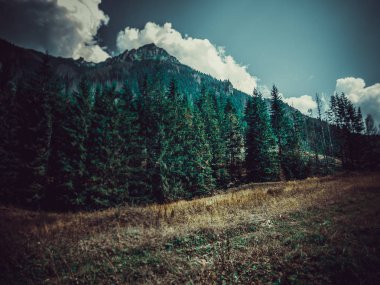 Yaz aylarında dağların peyzaj