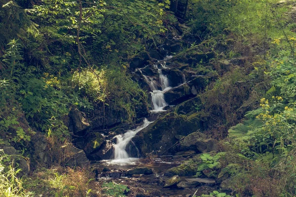 Dağlarda akan küçük bir nehir.