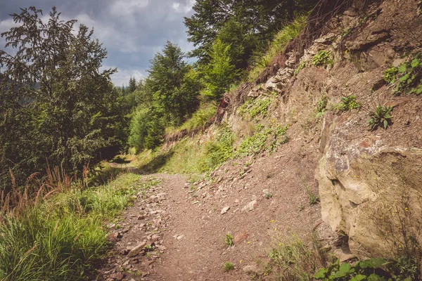 Dağ yolunda taşlı bir patika