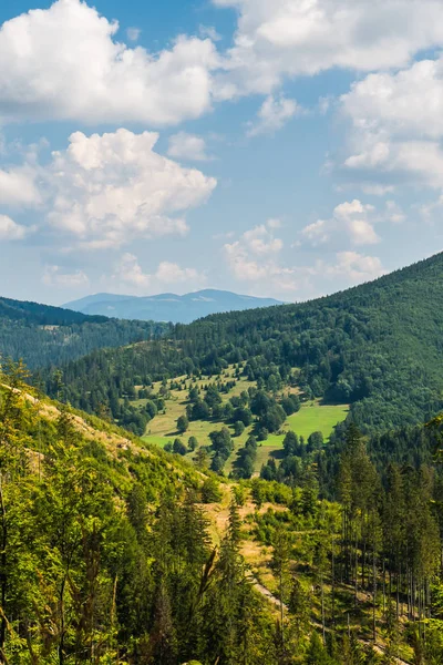 Yazın dağ manzarası