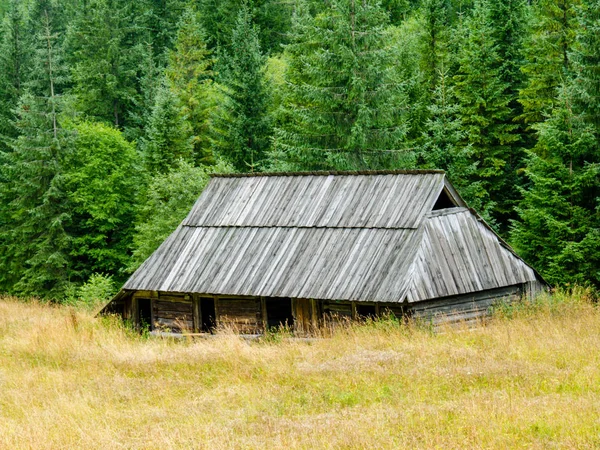 Vecchio Cottage Legno Nel Bosco — Foto Stock