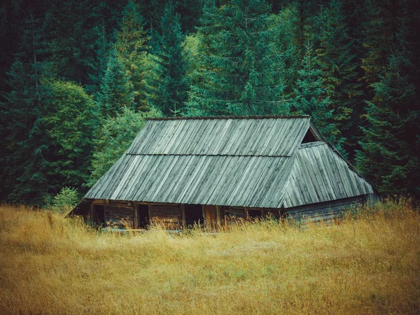 Stary Drewniany Domek Lesie — Zdjęcie stockowe