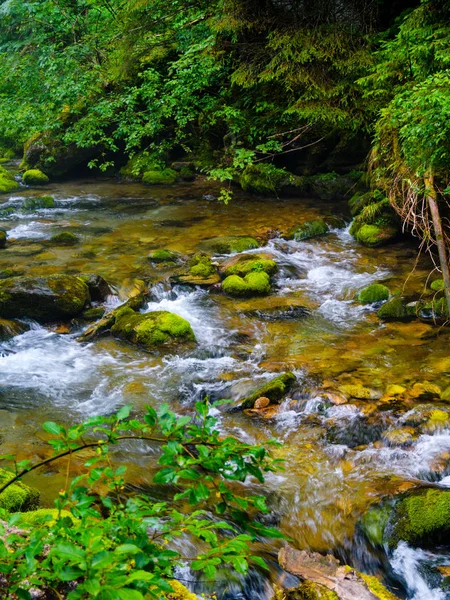 stream flowing in the mountains in the woods