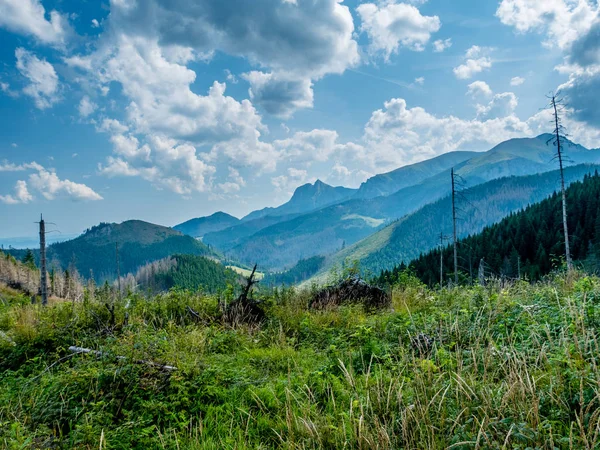 Yaz aylarında dağların peyzaj