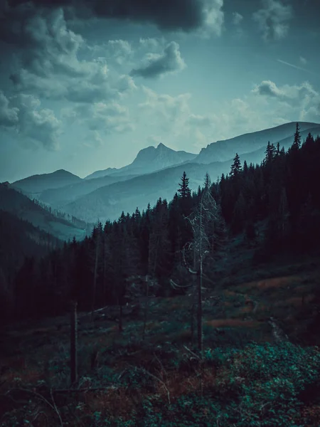 Landschap Van Bergen Zomer — Zdjęcie stockowe