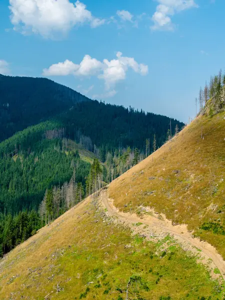 Tatra dağlarındaki dağların renkli yamaçları