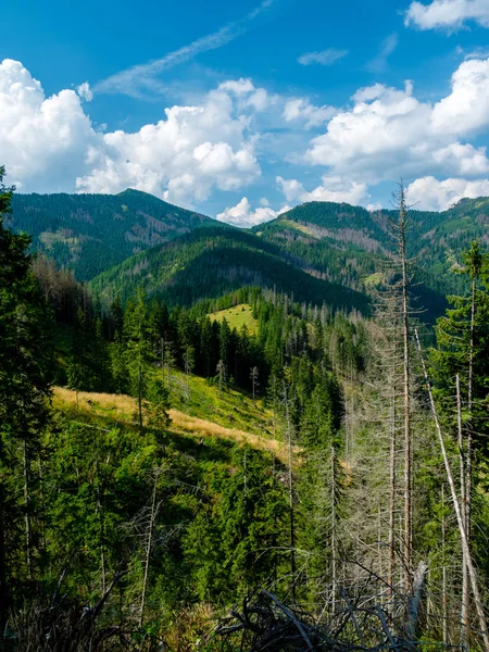 Yaz aylarında dağların peyzaj