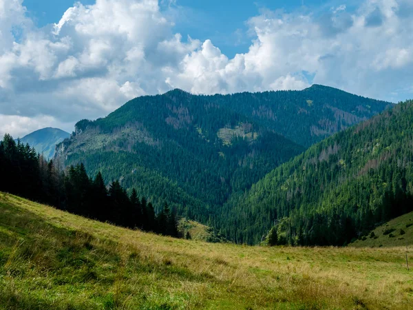 Yaz aylarında dağların peyzaj