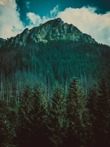 Krajobraz Górach — Zdjęcie stockowe