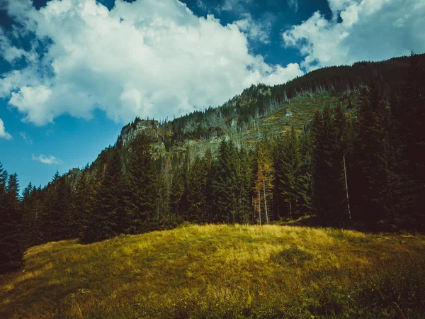 karanlık önce düşük dağlar