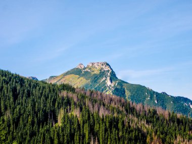 Yaz aylarında dağların peyzaj