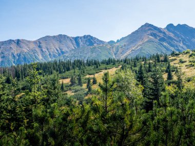 Polonya Tatra dağlarının sonbahar manzarası
