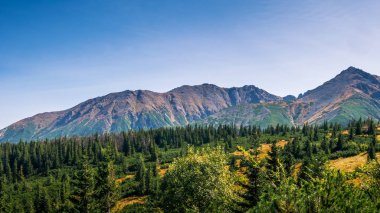 Polonya Tatra dağlarının sonbahar manzarası