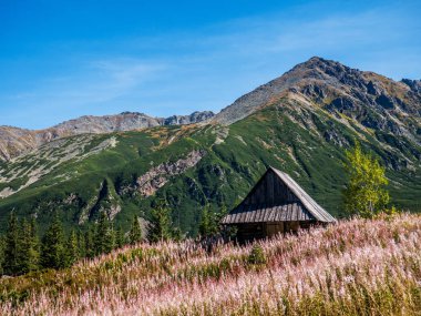 Dağlarda eski ahşap yazlık